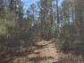 Photo of 193.5 Ac   Campground Road 